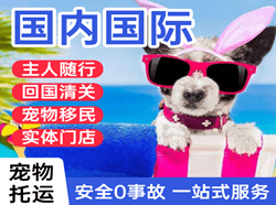 锦州湾航空物流国际宠物托运 【国